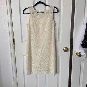 Cream lace shirt sheath dress